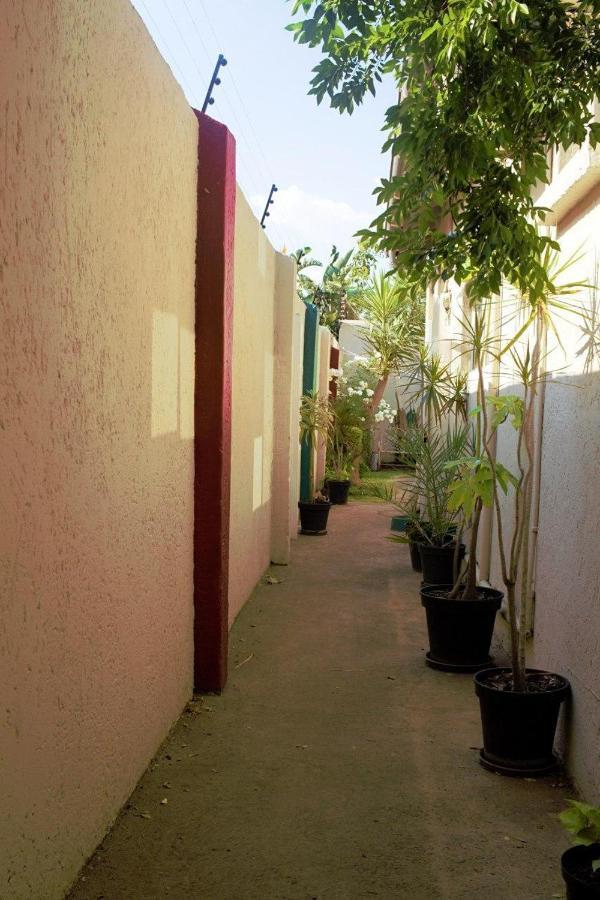 Houghton Guest House Johannesburg Exterior foto